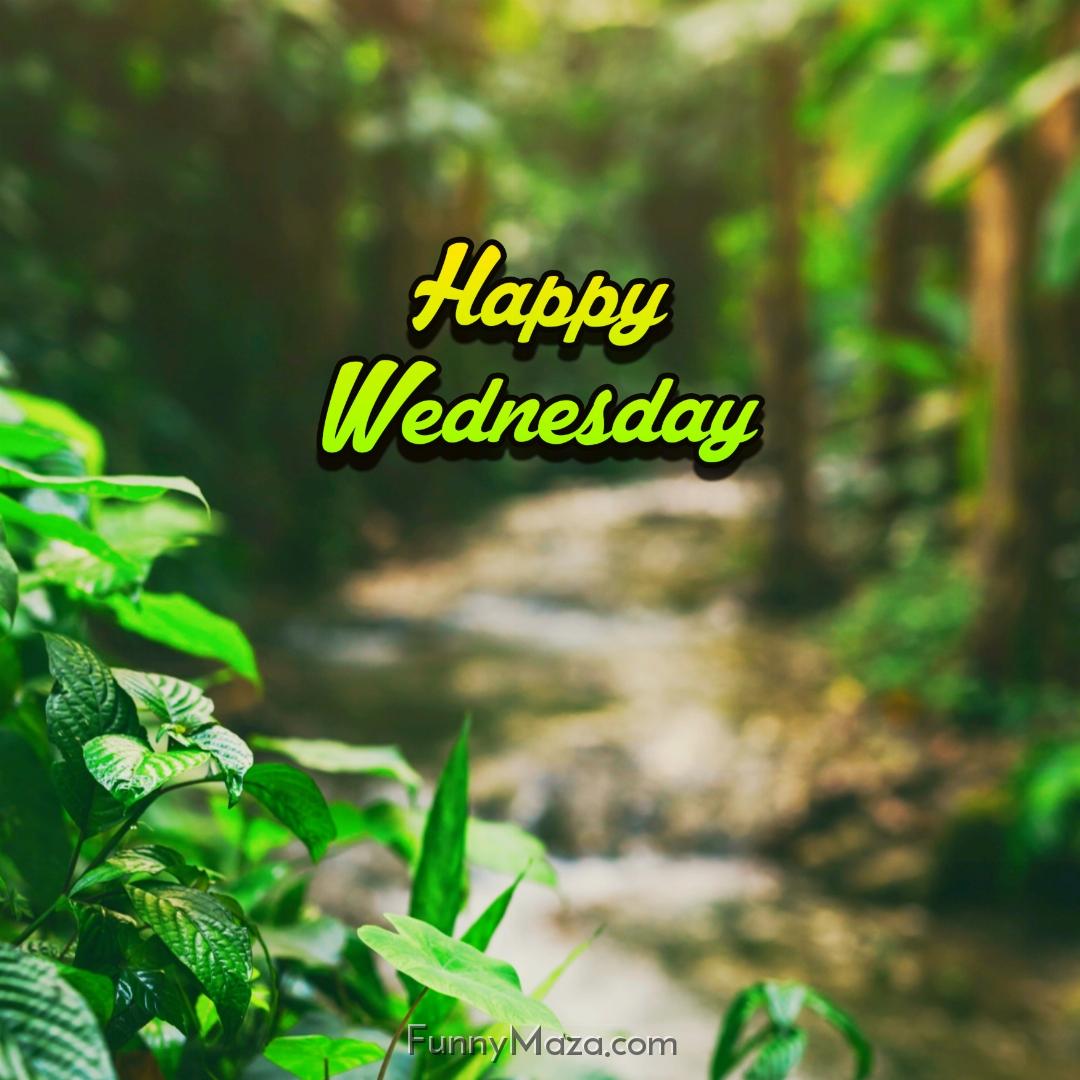 Beautiful Wednesday Rainy Images