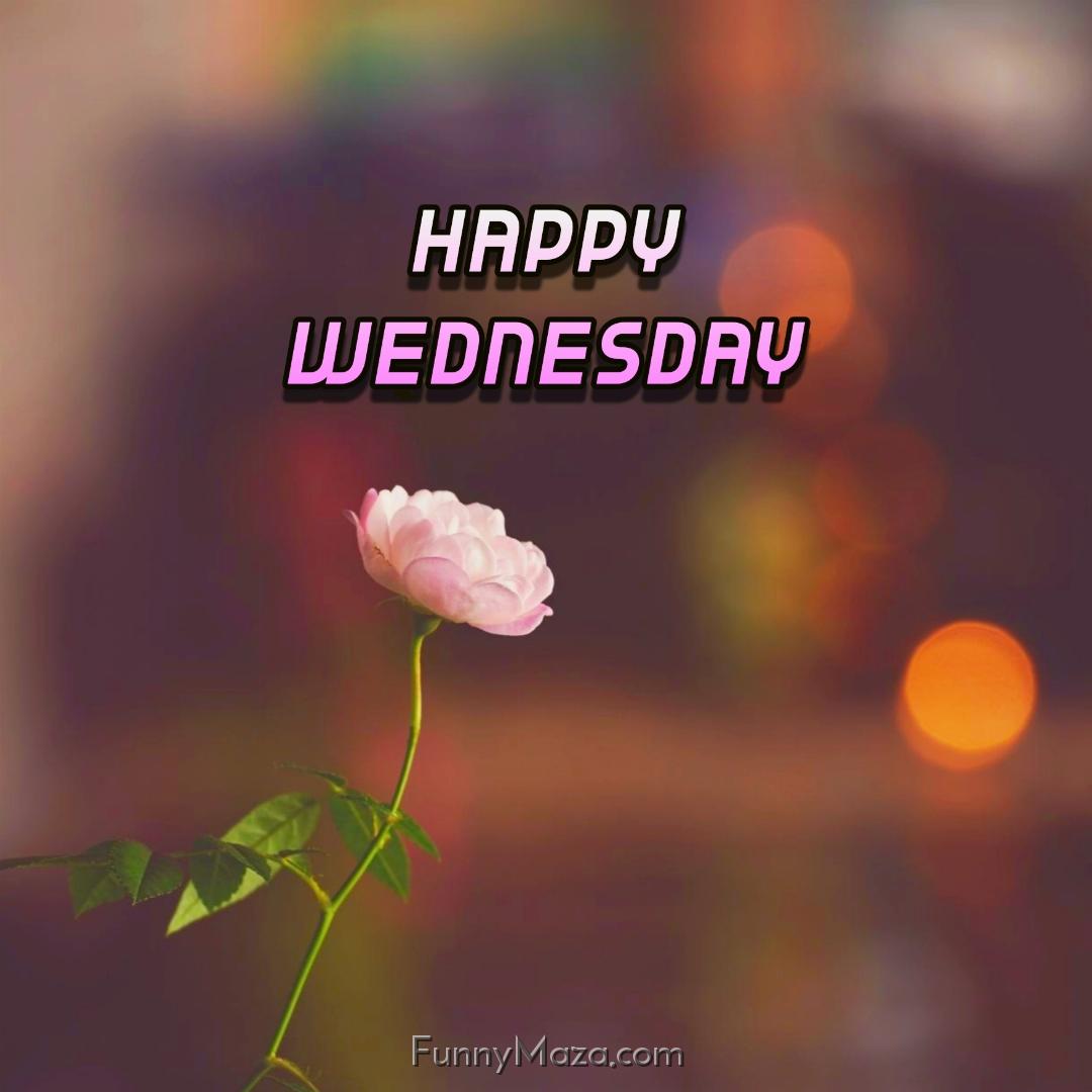 Happy Wednesday Flowers Images