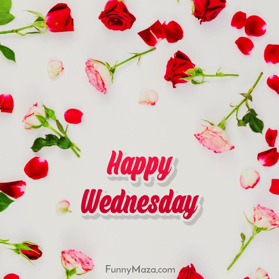 Happy Wednesday Heart Rose Love Wallpaper