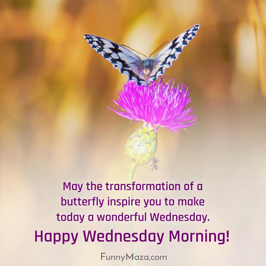 May the transformation of a butterfly inspire you to make today