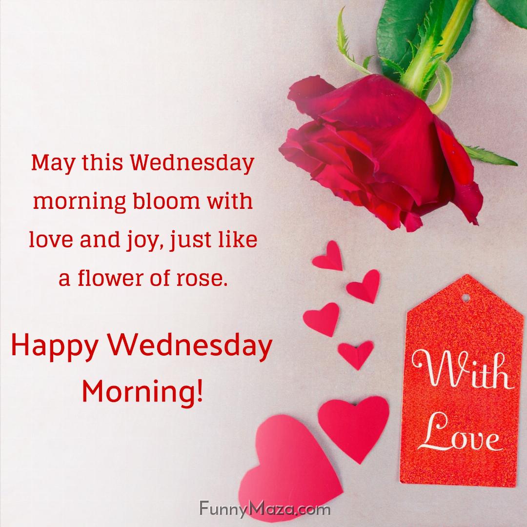 May this Wednesday morning bloom with love and joy just like