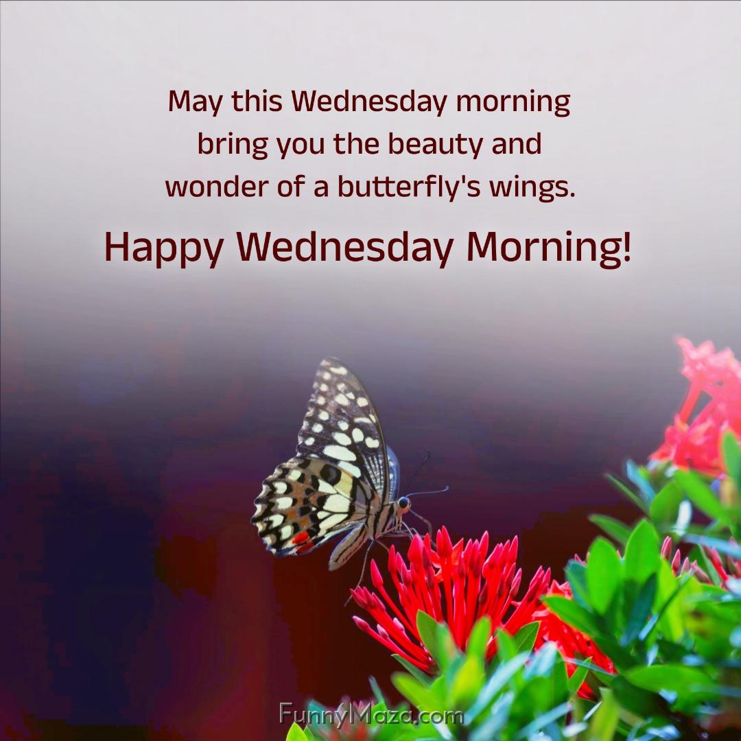 May this Wednesday morning bring you the beauty and wonder of