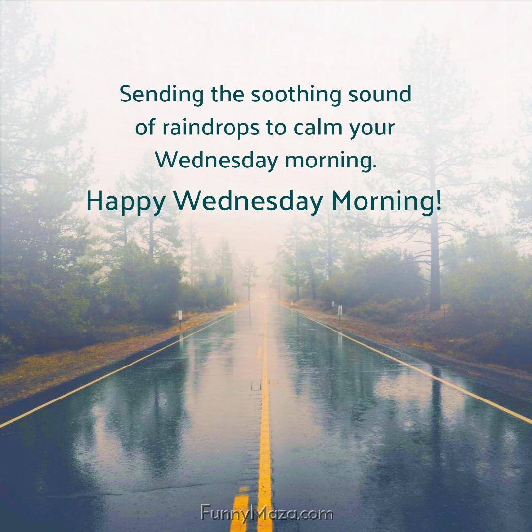 Sending the soothing sound of raindrops to calm your Wednesday morning