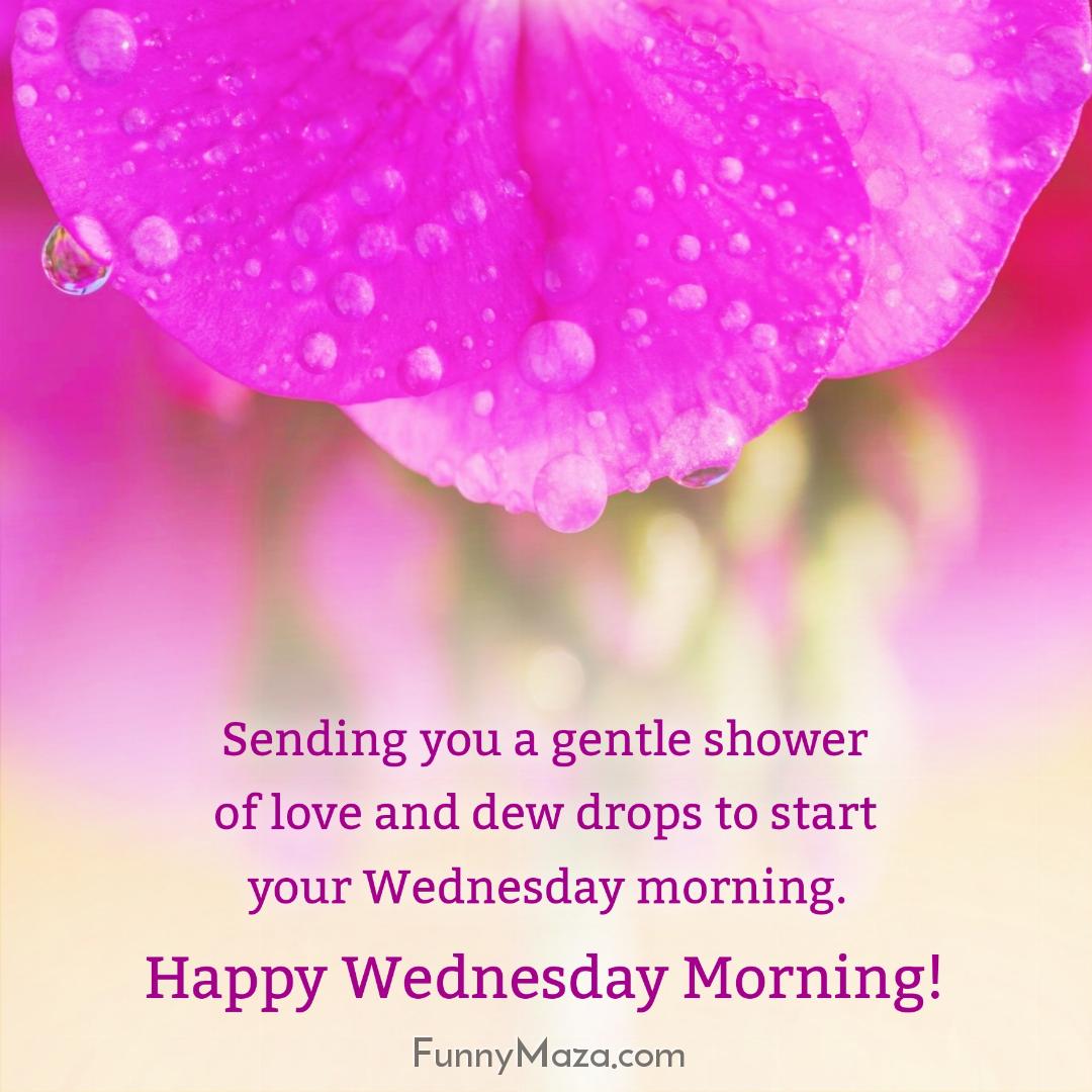 Sending you a gentle shower of love and dew drops to