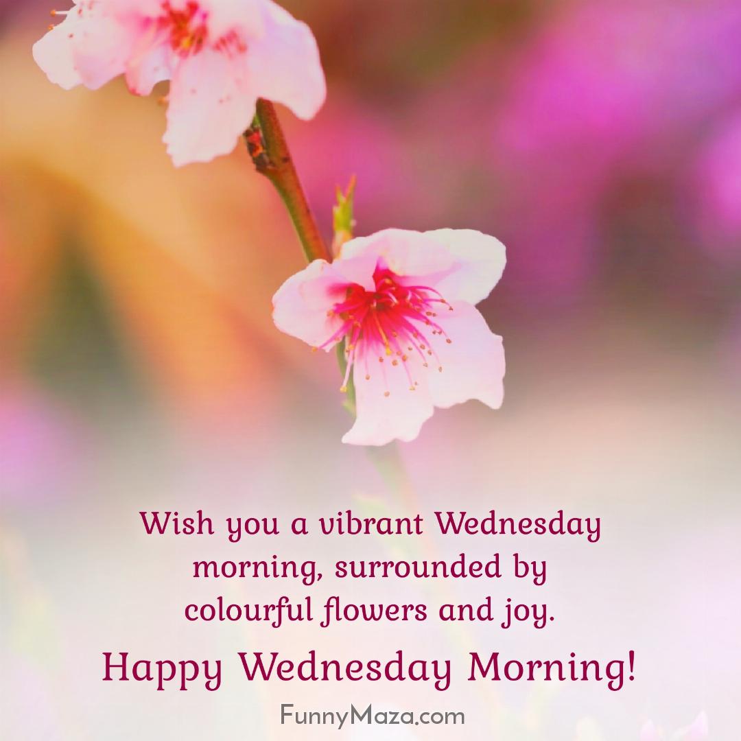 Wish you a vibrant Wednesday morning surrounded by colourful flowers and