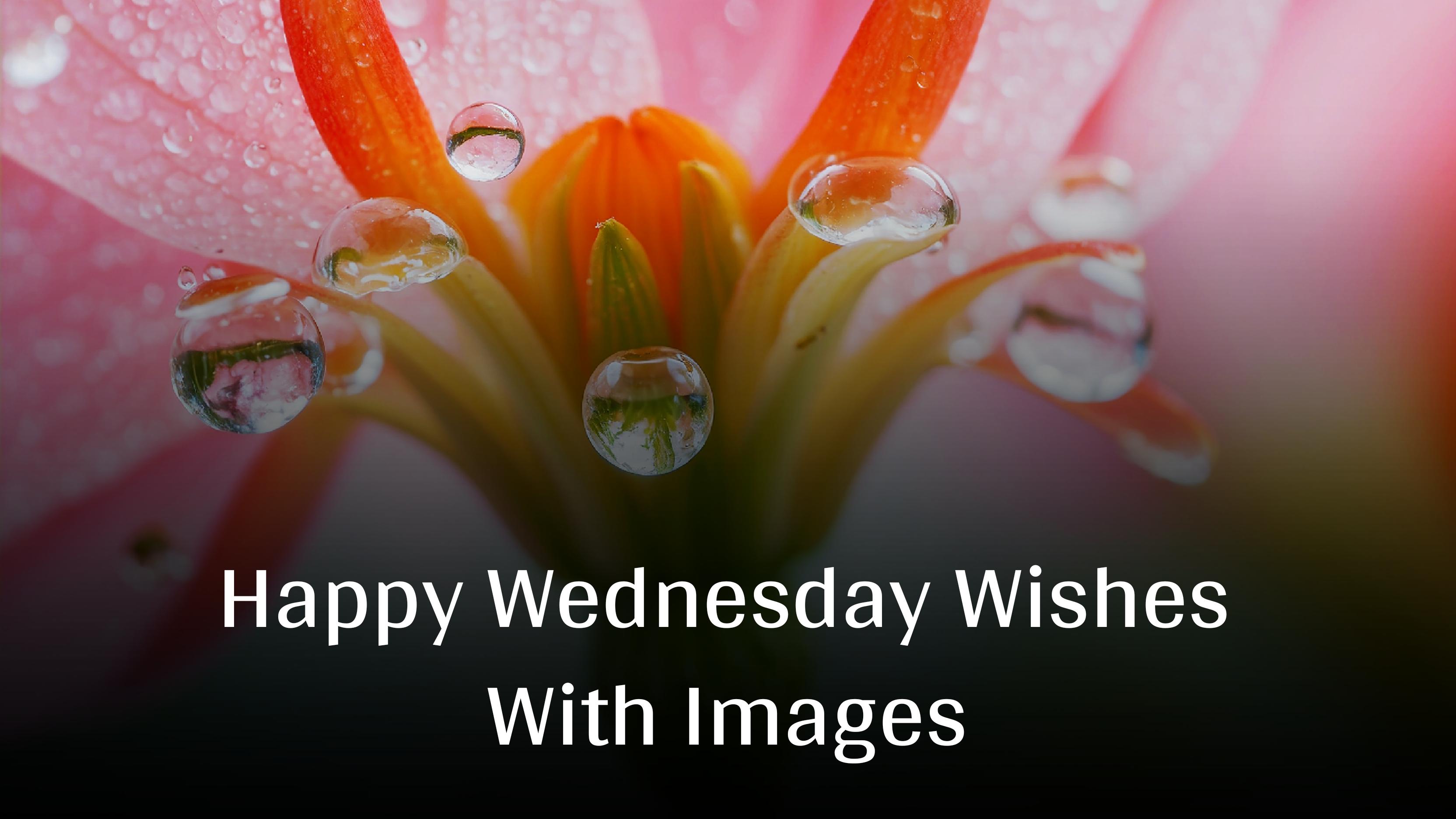 Beautiful Happy Wednesday Wishes Images