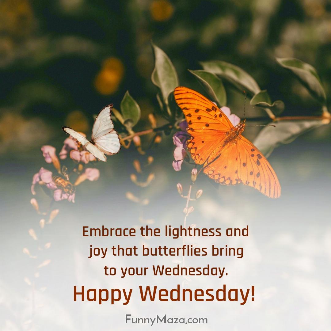 Embrace the lightness and joy that butterflies bring to your Wednesday