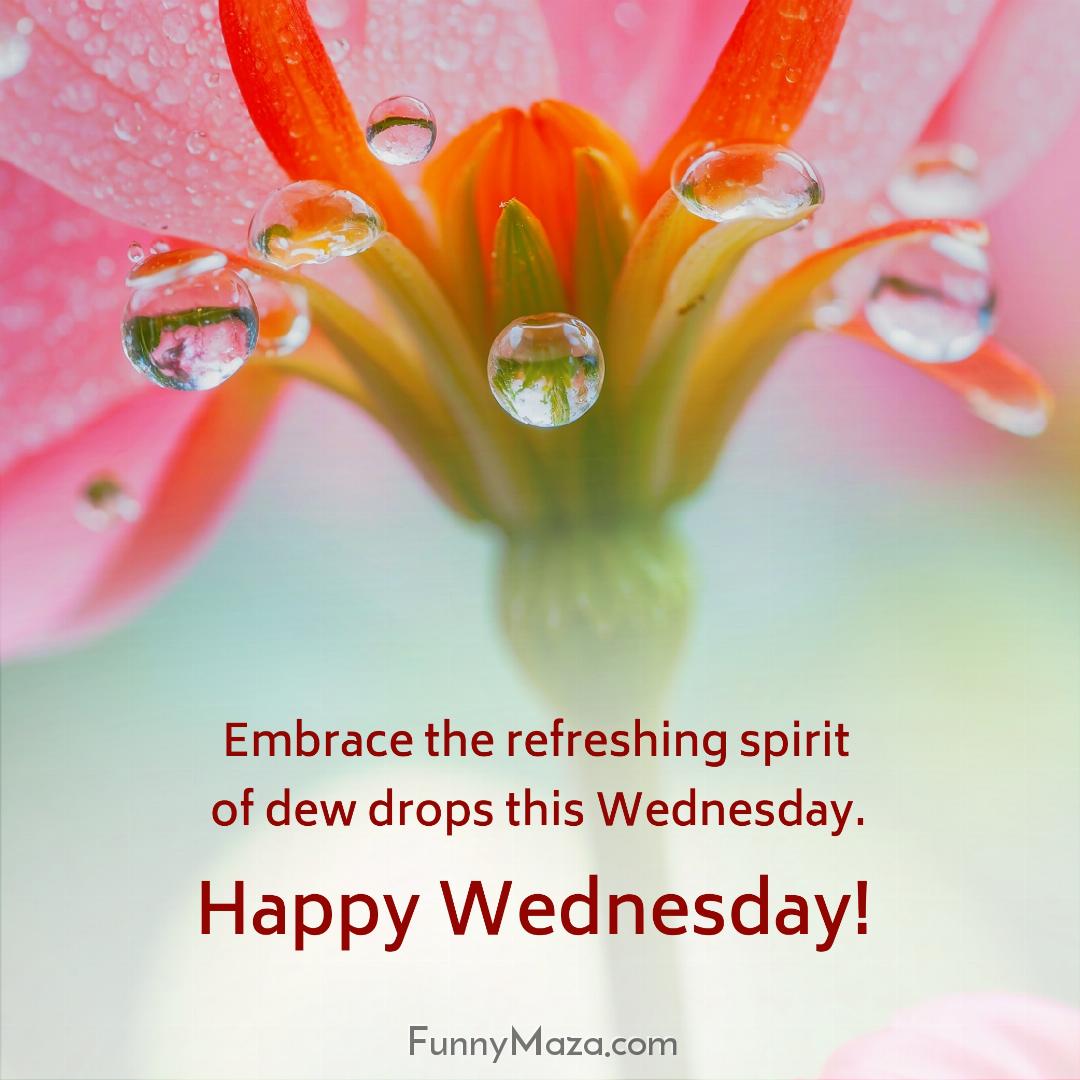 Embrace the refreshing spirit of dew drops this Wednesday