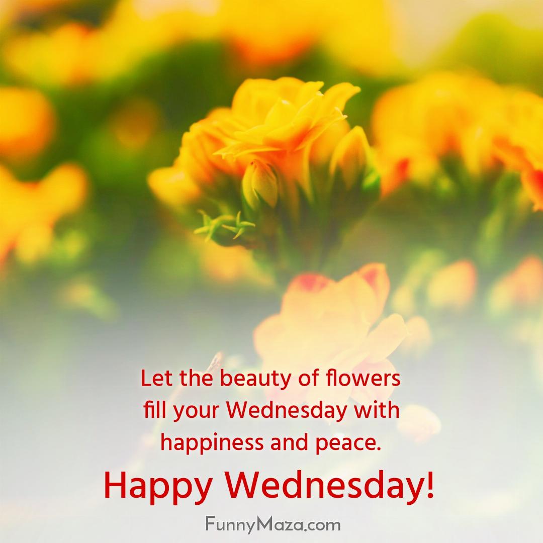 Let the beauty of flowers fill your Wednesday with happiness and