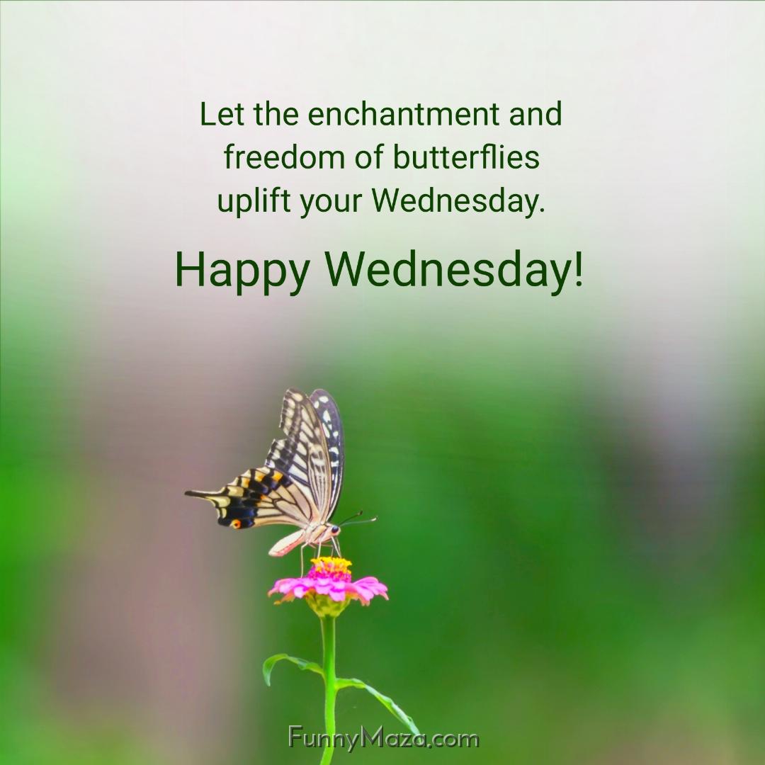 Let the enchantment and freedom of butterflies uplift your Wednesday