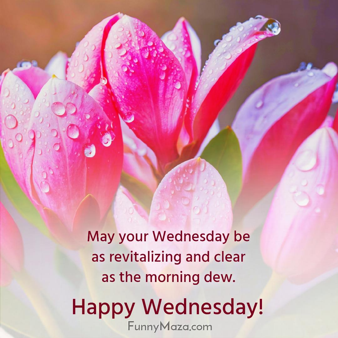 May your Wednesday be as revitalizing and clear as the morning