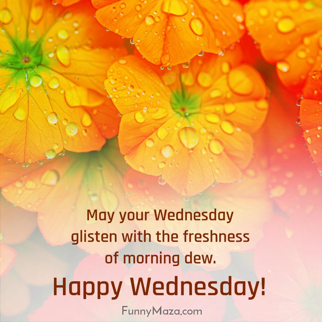 May your Wednesday glisten with the freshness of morning dew