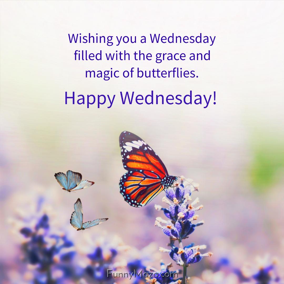 Wishing you a Wednesday filled with the grace and magic of