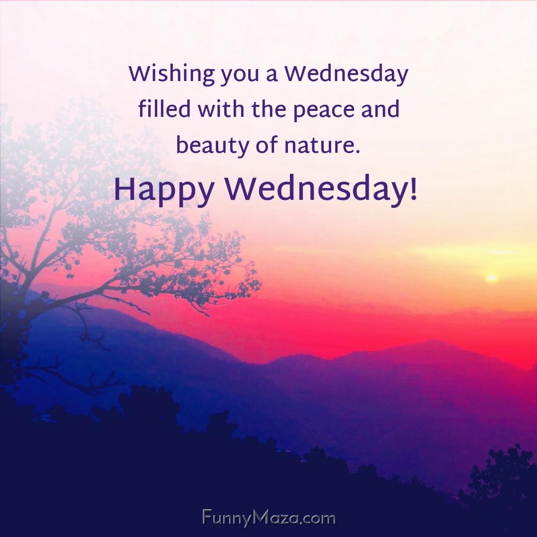 Wishing you a Wednesday filled with the peace and beauty of