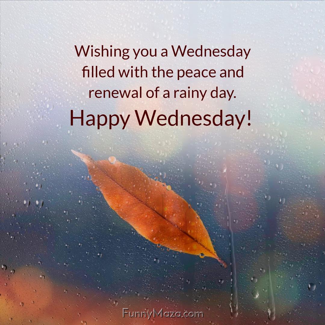 Wishing you a Wednesday filled with the peace and renewal of