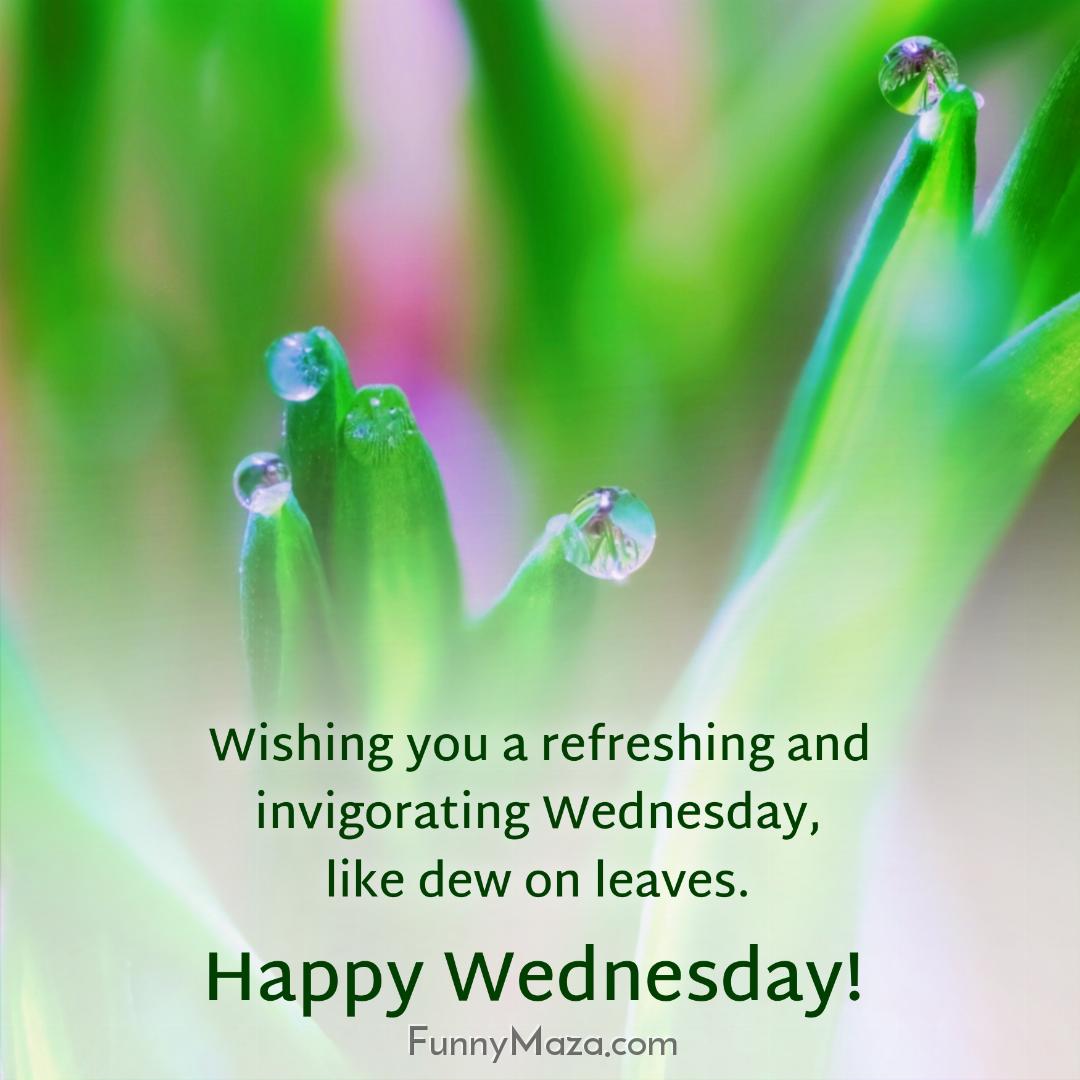 Wishing you a refreshing and invigorating Wednesday like dew on leaves