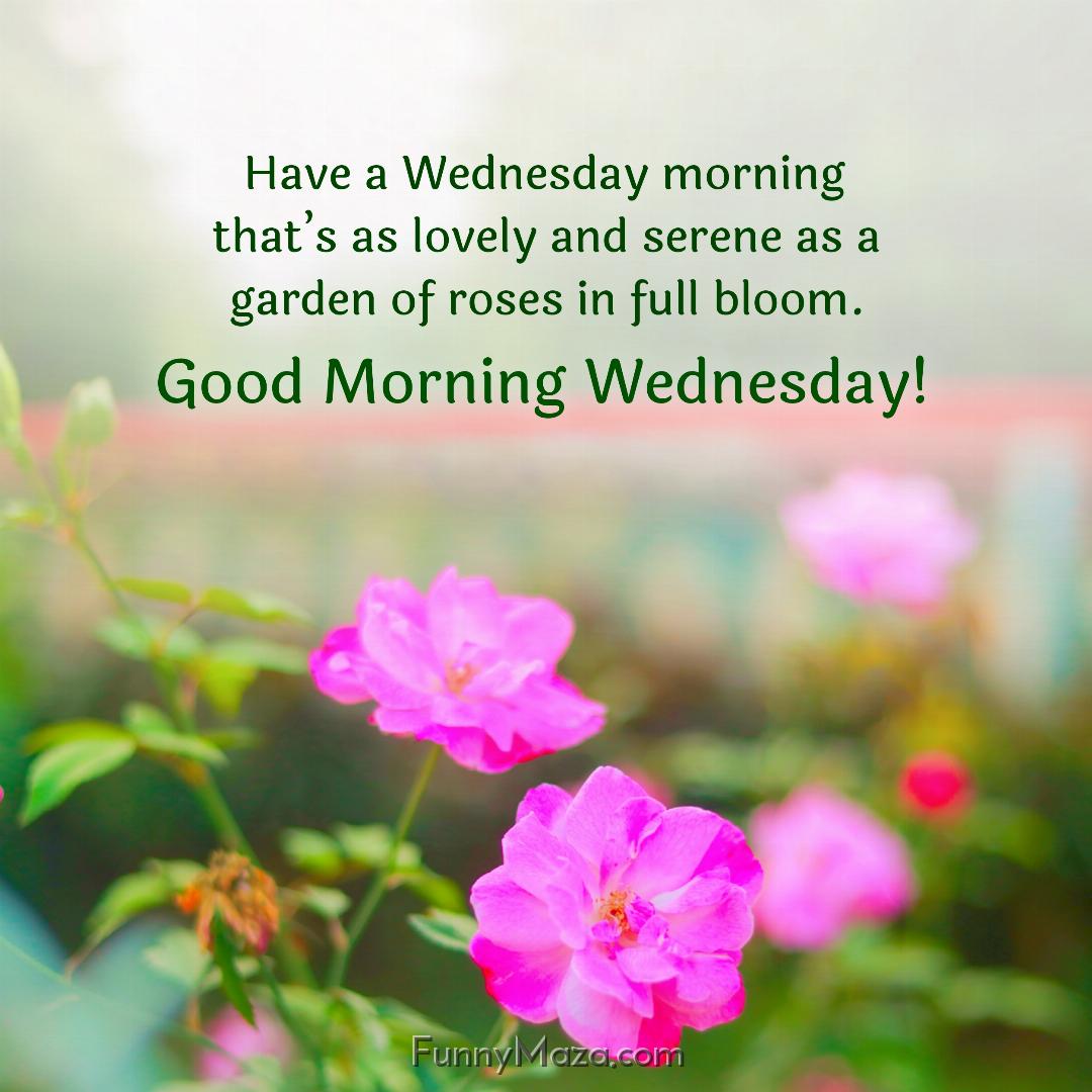 Have a Wednesday morning that’s as lovely and serene as a