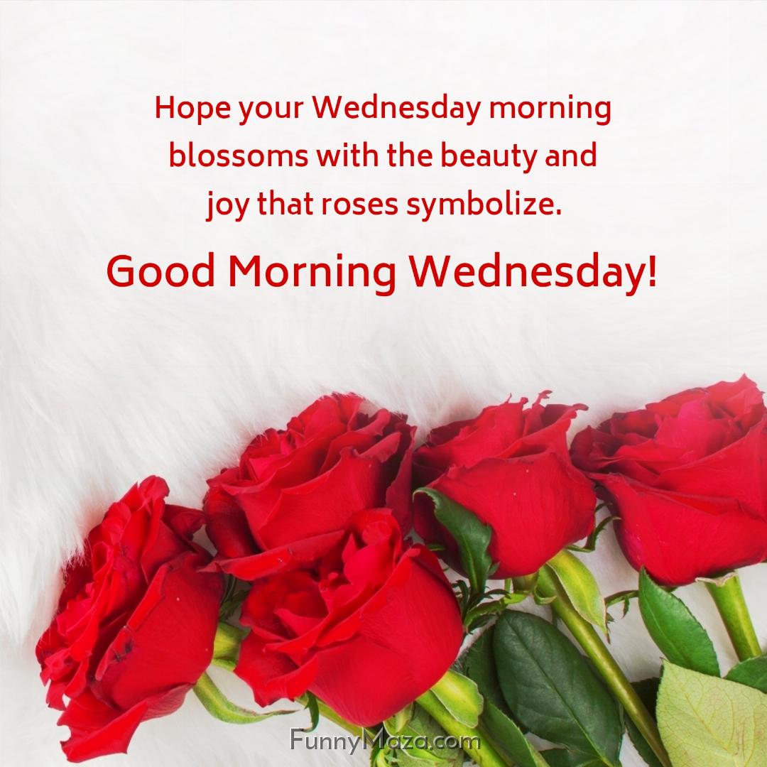 Hope your Wednesday morning blossoms with the beauty and joy that