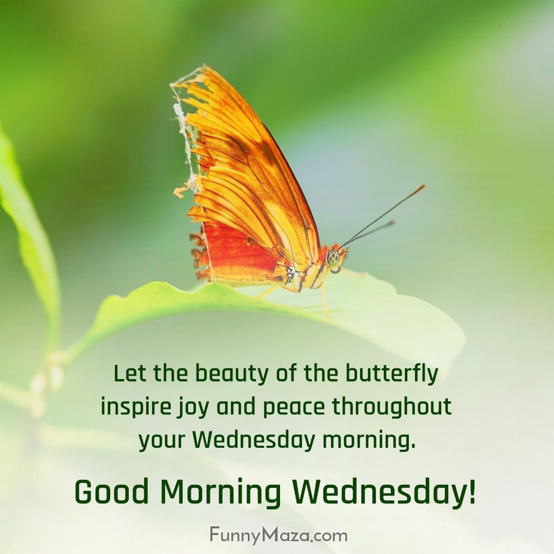 Let the beauty of the butterfly inspire joy and peace throughout