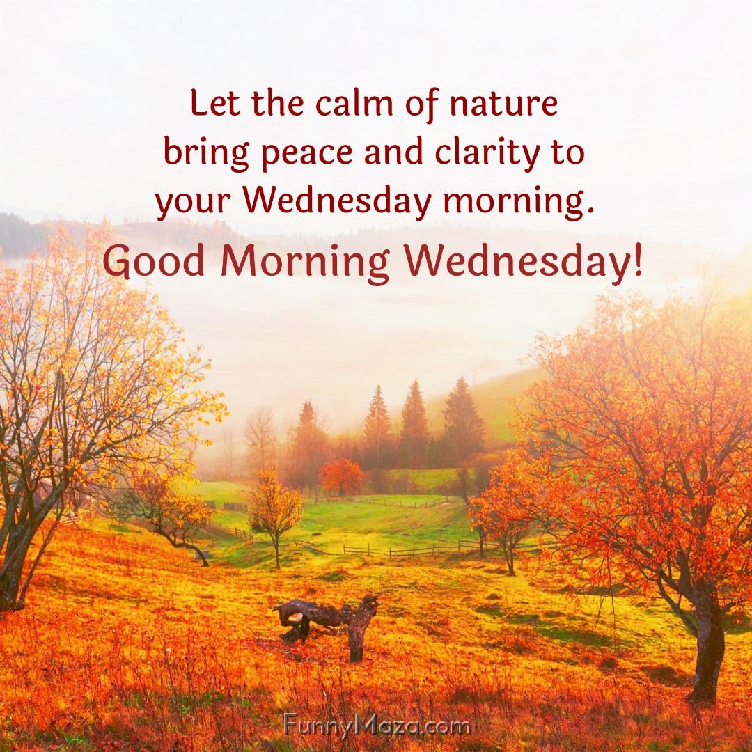 Let the calm of nature bring peace and clarity to your