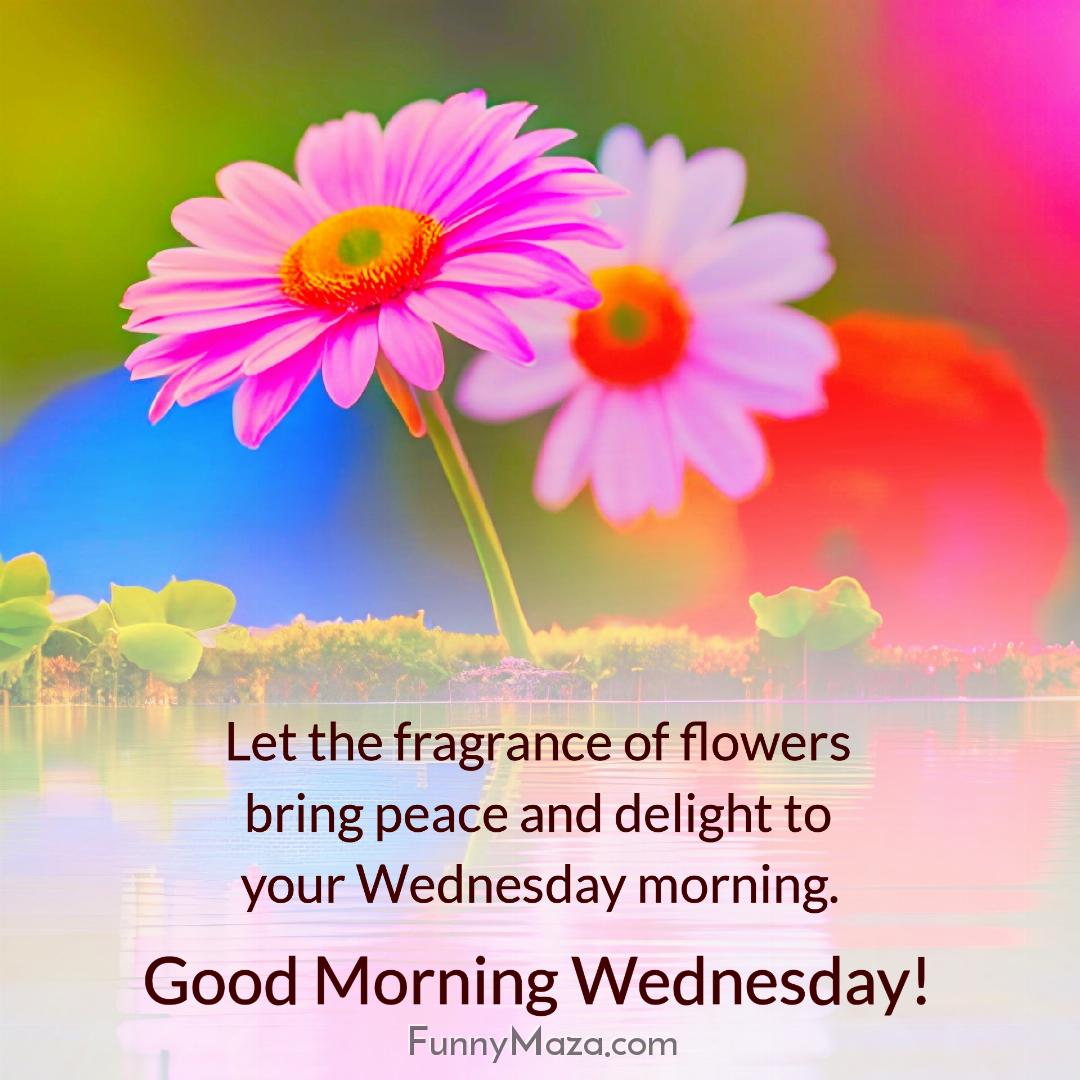 Let the fragrance of flowers bring peace and delight to your