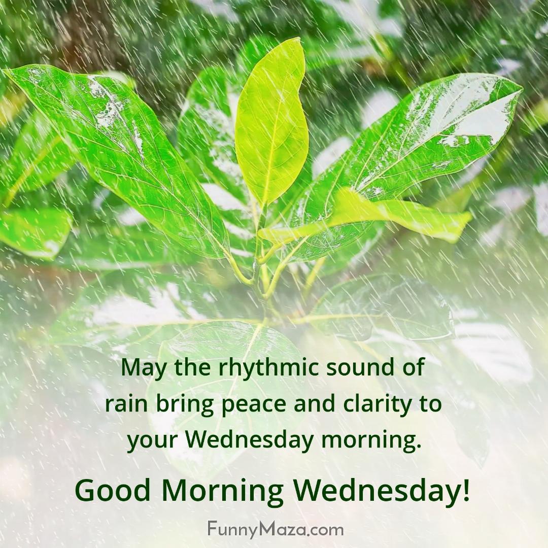 May the rhythmic sound of rain bring peace and clarity to