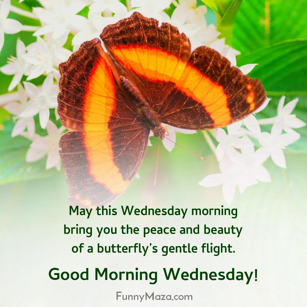 May this Wednesday morning bring you the peace and beauty of