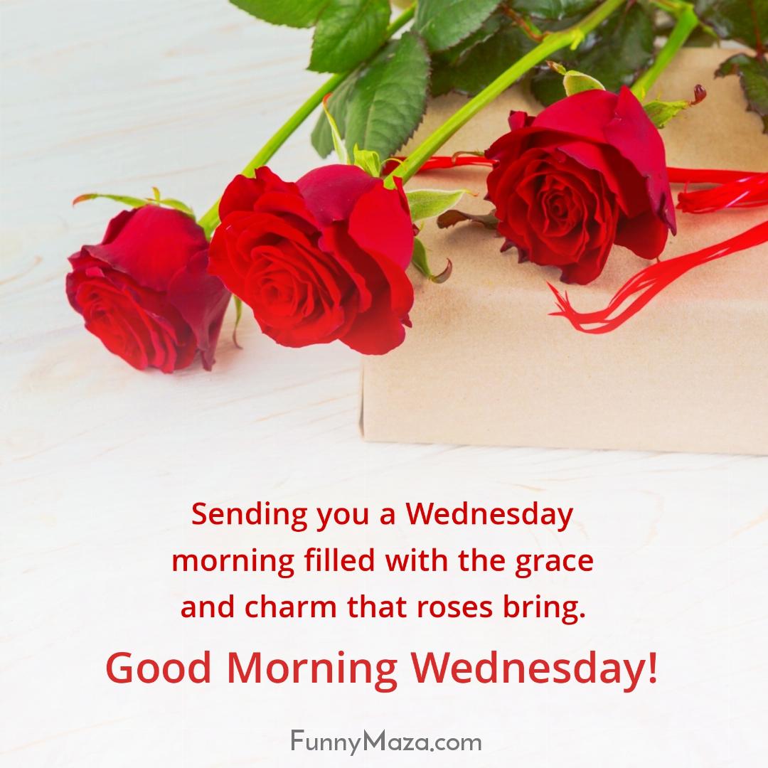 Sending you a Wednesday morning filled with the grace and charm