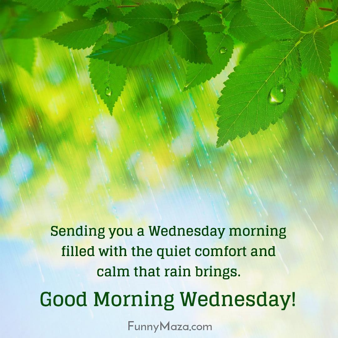 Sending you a Wednesday morning filled with the quiet comfort and