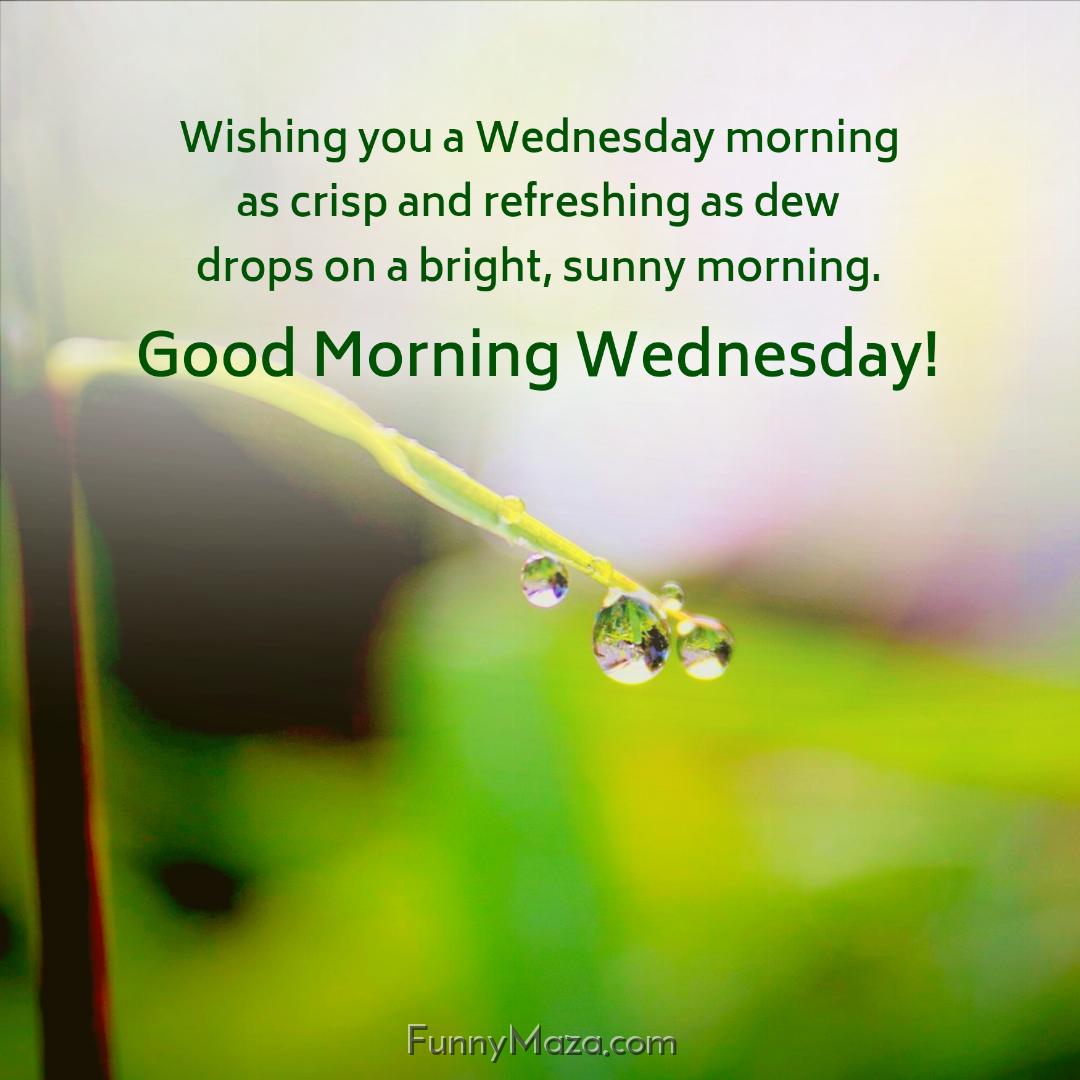 Wishing you a Wednesday morning as crisp and refreshing as dew