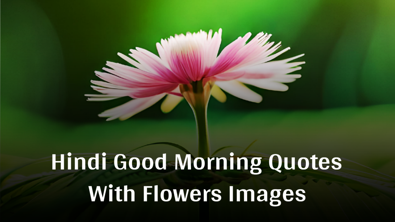 Hindi Good Morning Quotes With Flowers Images - फूलों के साथ शुभ प्रभात कोट्स 