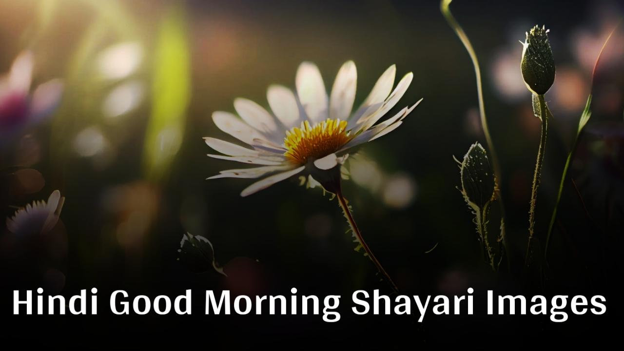 Hindi Good Morning Shayari Images - गुड मॉर्निंग शायरी